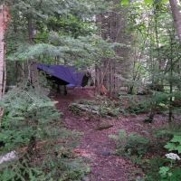Woods Creek Camp ico