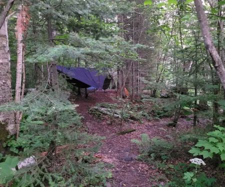 Woods Creek Camp