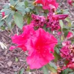Val Verde Estates & Mobile Home
