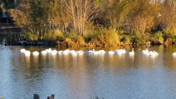 Lake Los Serranos Club Picture 9