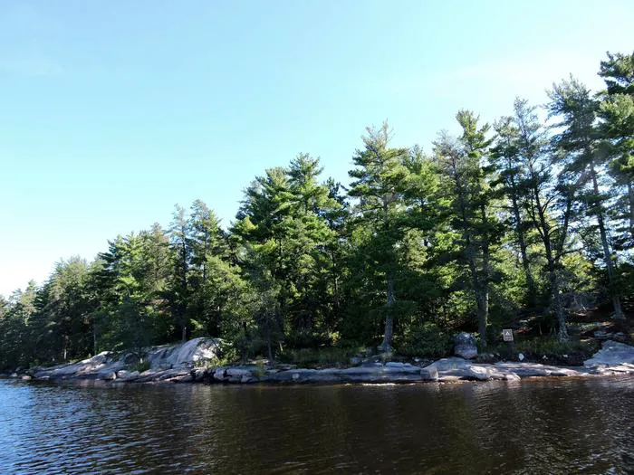 King Pin S10 Campsite Picture 1
