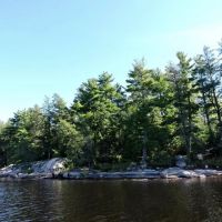 King Pin S10 Campsite ico