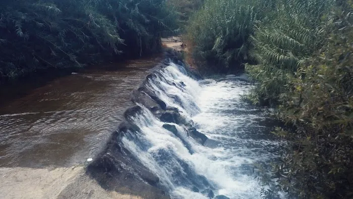Villa Del Arroyo Picture 6