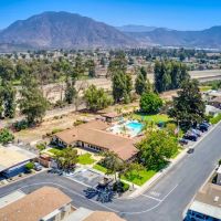 Lamplighter Camarillo ico