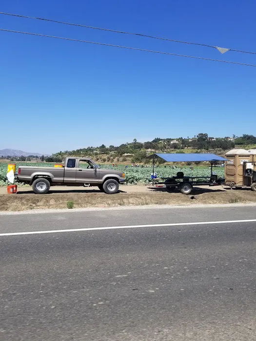 Casa Del Norte Mobile Home Community Picture 4