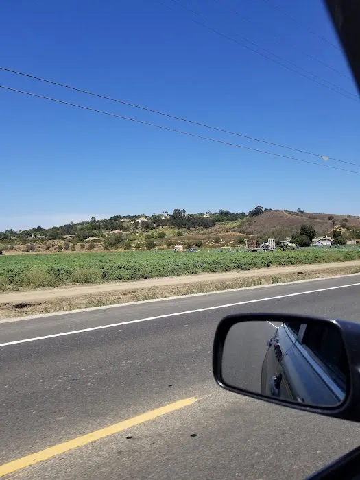 Casa Del Norte Mobile Home Community Picture 6