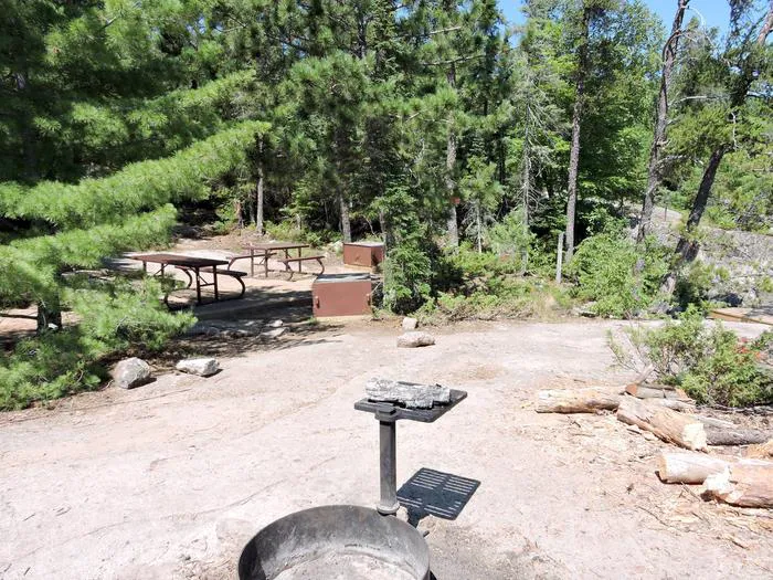 Partridge Point S28 Campsite Picture 3