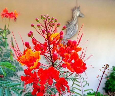 Placerita Canyon Mobile Home