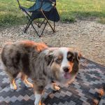 Old Town Campground