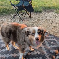 Old Town Campground ico