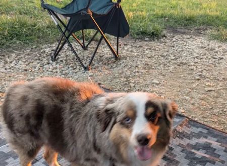 Old Town Campground