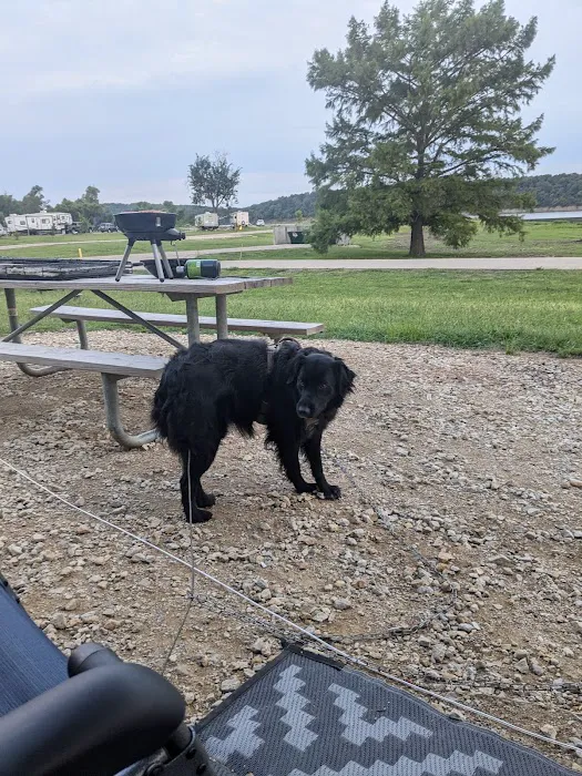Old Town Campground Picture 10