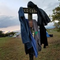 Twin Pines ico