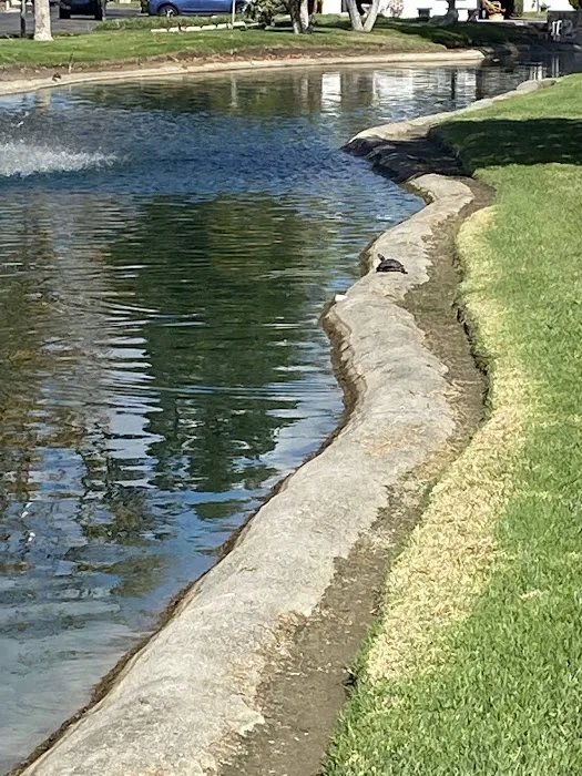 Laguna Vista MHC, LLC Picture 1