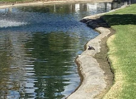 Laguna Vista MHC, LLC