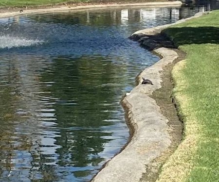 Laguna Vista MHC, LLC