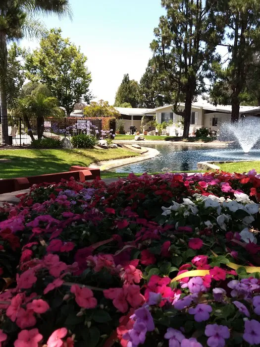Laguna Vista MHC, LLC Picture 6