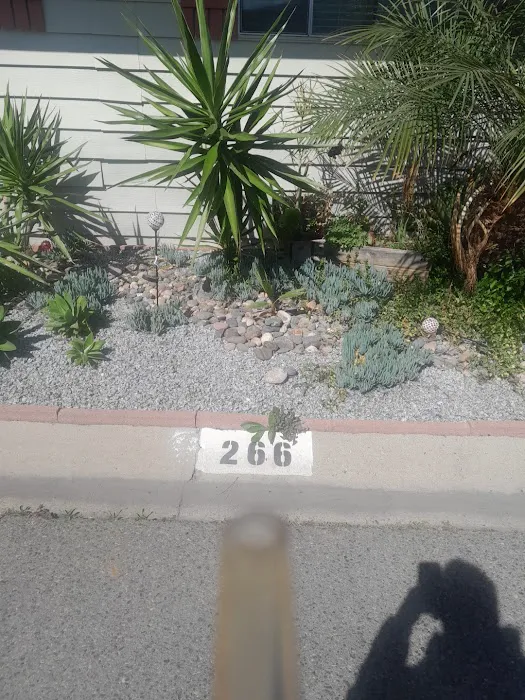 Rancho San Luis Rey Mobile Home Park Picture 1