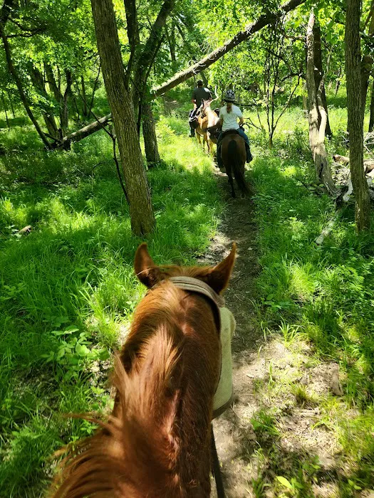 Wild Horse Campground Picture 3