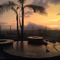 Deer Springs Oaks ico