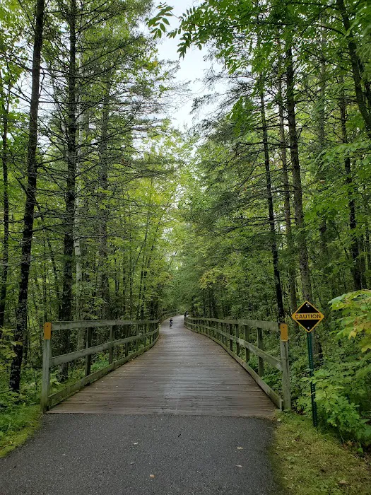 Bear Paw Campground Picture 9