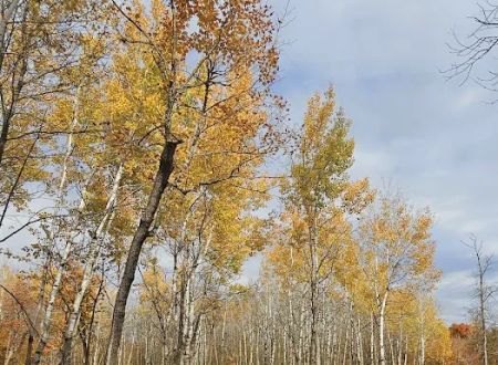 Maple Ridge RV Campground