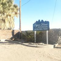 Organ View Estates ico