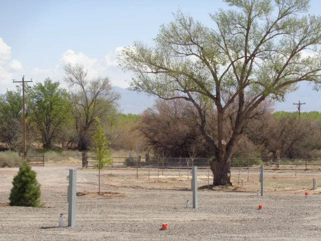 Winery Road RV Park Picture 3