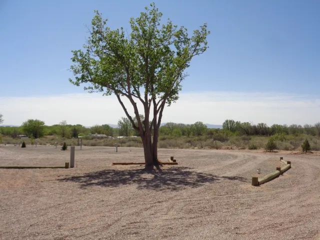Winery Road RV Park Picture 4