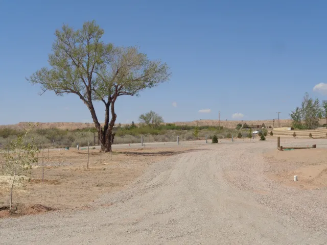Winery Road RV Park Picture 8