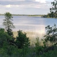 Whaley's Resort & Campground ico
