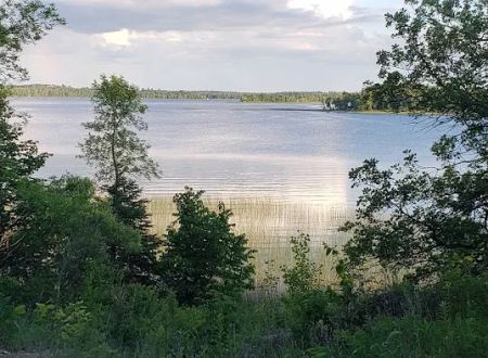 Whaley's Resort & Campground