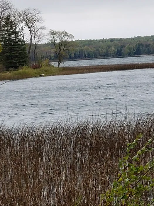 Whaley's Resort & Campground Picture 4