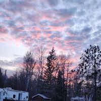 Camp Orth ico