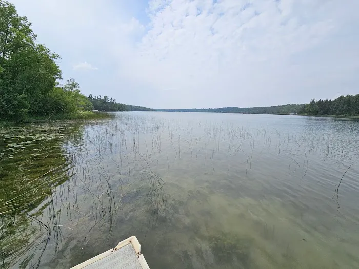 Black Bear Hollow Seasonal RV Park Picture 1
