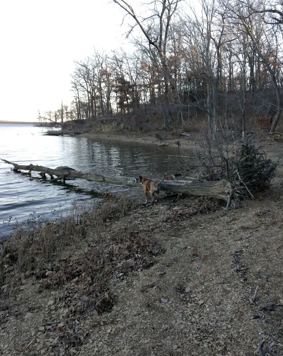 US Army Corps of Engineers Picture 8