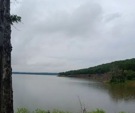 Comfort Cove Campground