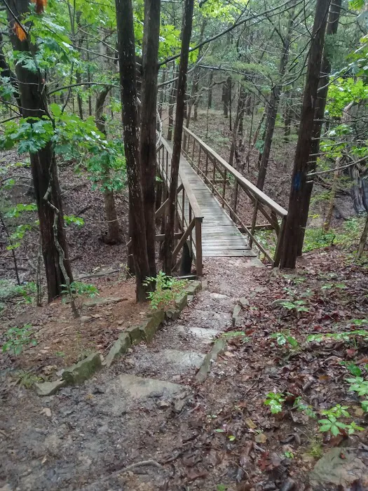 Comfort Cove Campground Picture 3