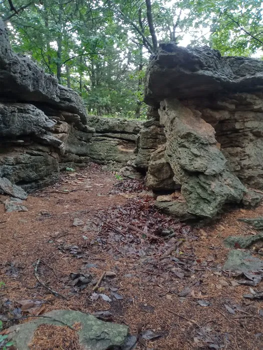 Sunset Point Campground Picture 6
