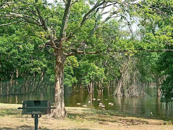 Taylor Ferry South Picture 6