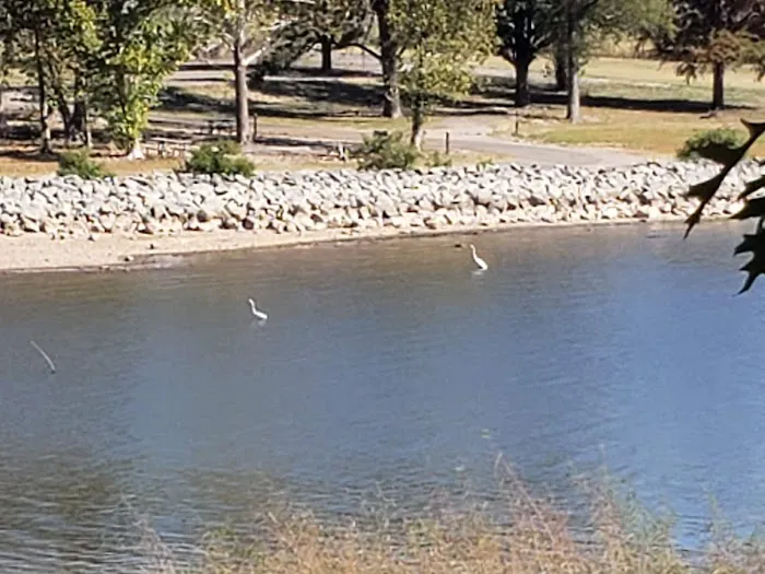 Taylor Ferry South Picture 5