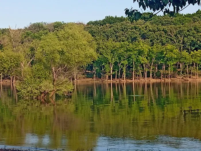 Taylor Ferry South Picture 7