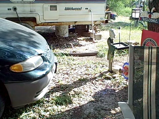 Canyon Lake Rv Park Picture 7
