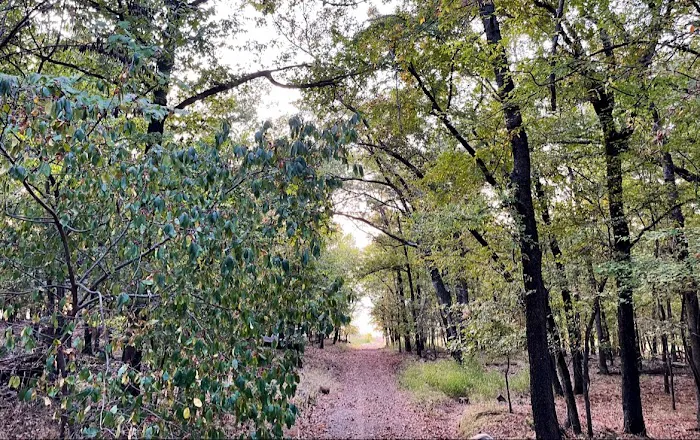 Camp Restoration Point Picture 4
