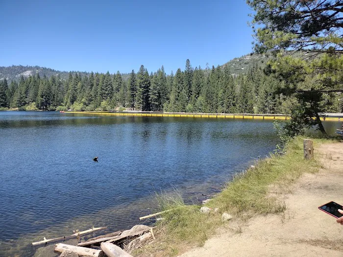 Hume Lake Campground Picture 2
