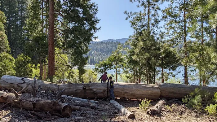 Hume Lake Campground Picture 6