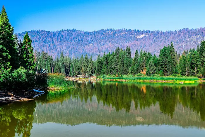 Hume Lake Campground Picture 9