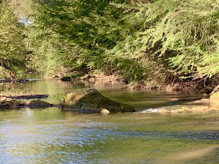 Bandera Pioneer RV River Resort Picture 7