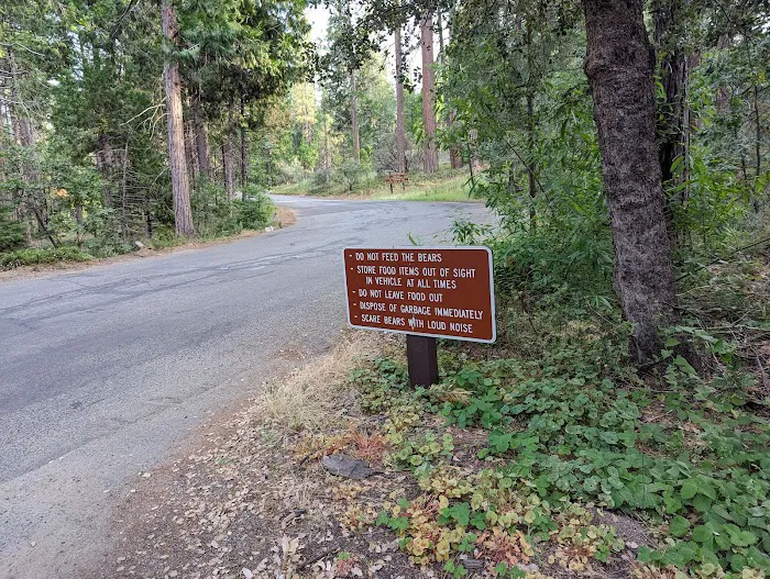 Hume lake campground Picture 1