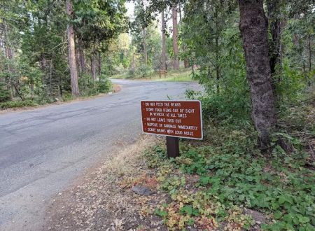Hume lake campground